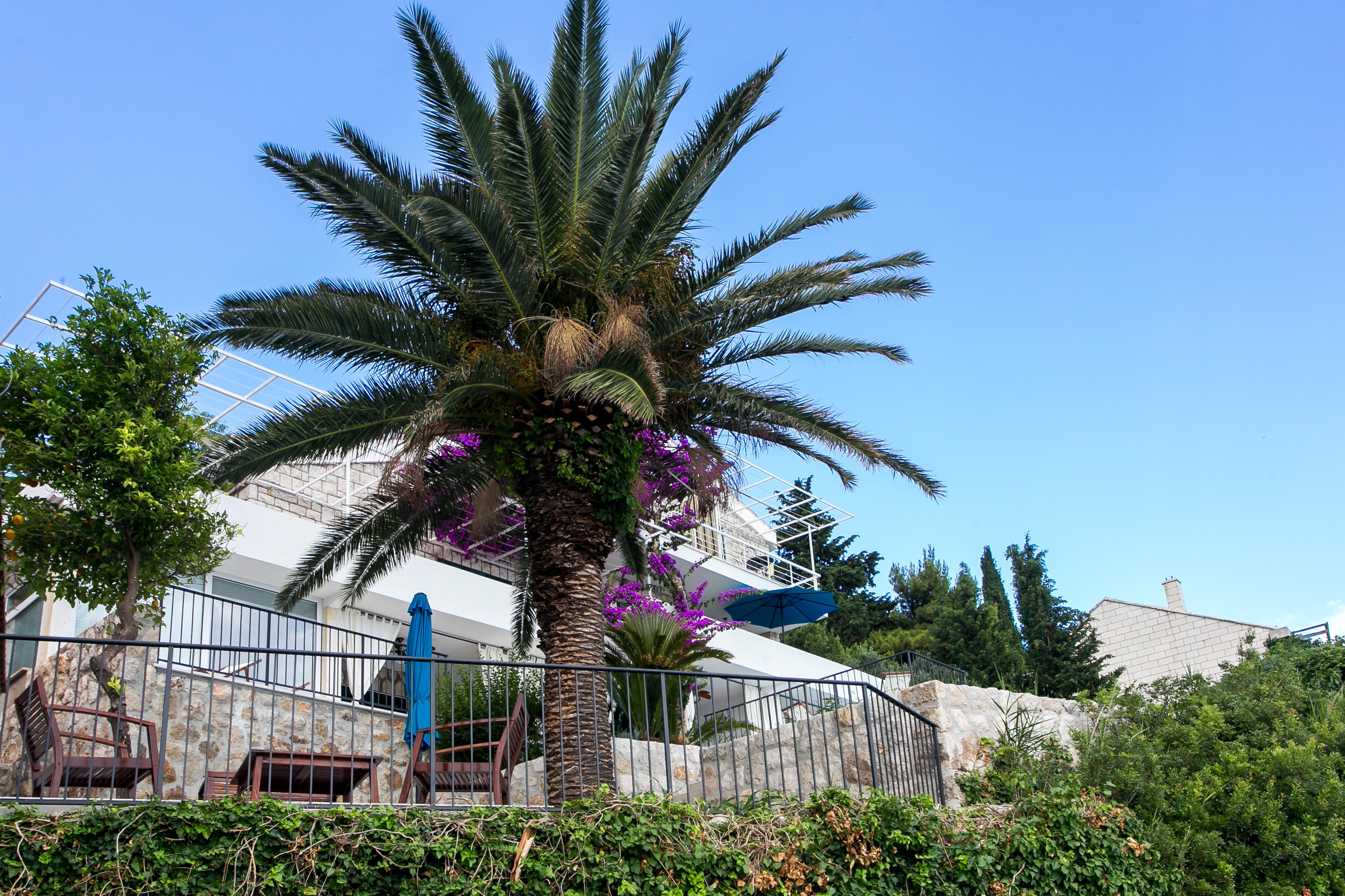 Apartments Villa Mirjana Mlini Exterior foto